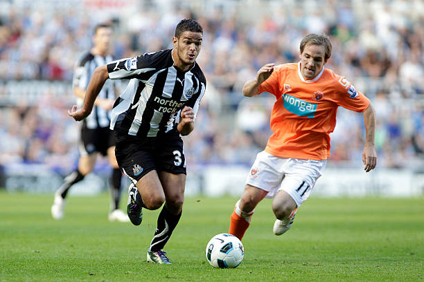 他们也应在 他们也应在