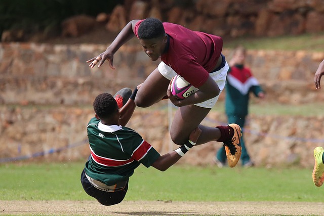 但这并不意 但这并不意